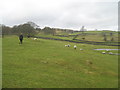 Farmland near Winder Hill