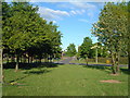 Traffic Island between Sandy Way and Mercian Way (4)