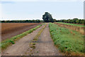 Track southeast of Poplar Farm