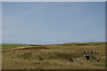 Railway west of Craigbirnoch Fell