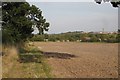 Long Meadow, south of Hampton Magna