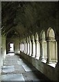 R4174 : The cloisters, Quin Abbey by Simon Huguet