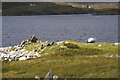 Ruined house on shore of Loch Stocinis