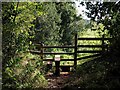 Stile on the West Deane Way