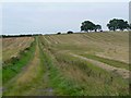 Track between fields