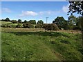 Meadow near Wiveliscombe