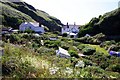 Back gardens in Trebarwith Strand