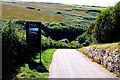 Down the hill to Tintagel Castle