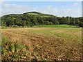 Fields in the valley of the Leader Water