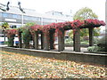 Pergola at Brunel University