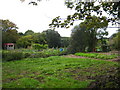 Allotments at Ladock