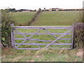 Gated Field Entrance