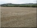 Fields at Woodhead