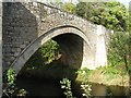 Single arched bridge over the Ale Water