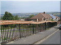 Wood carved railings