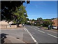 Ford Road, Wiveliscombe