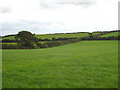 Fields at Hillhead Ladock