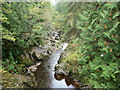 The Afon Mawddach from the footbridge near Tyddyn Gwladys