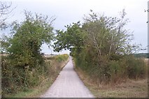 TR1264 : The Crab and Winkle Way cycle path towards Whitstable by David Anstiss