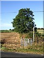 Icknield Way LDP near Toddington