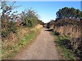 Castle Eden Walkway