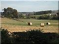 Round bales, Bonjedward