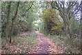 Crab and Winkle Way Cycle Path towards Canterbury