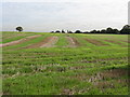 SJ7282 : Fields Of Hulme Barns Farm by Peter Whatley