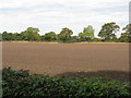 Riddled Field At Winterbottom