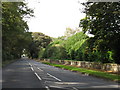 A50, Looking Toward High Legh