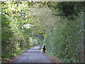 Walking The Dog, Wrenshot Lane, High Legh