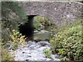 Upstream Leochel Burn