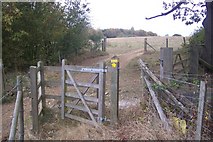 TR1559 : Kissing Gate on Barton Down by David Anstiss
