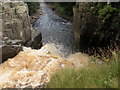 NY8828 : Looking over High force & the river Tees by malcolm tebbit