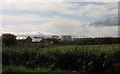 View across the fields towards the village of Ardglass