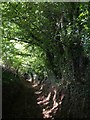 Bridleway, Horsecombe