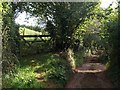 Footpath from Malborough