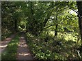 Footpath near Portlemore Barton