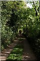 Footpath near Portlemore Barton (3)