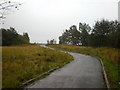 Former Blythe Chemical Works, Service road