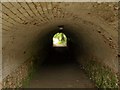 Tunnel, Crabtree