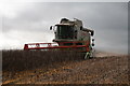 Bean Harvesting