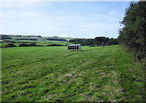 SY9581 : Fields south-west of Corfe Castle by Pierre Terre