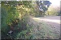 Footpath beside dry river bed