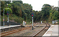 Haverfordwest railway station photo-survey (3)
