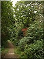 Footpath, Efford Marsh Nature Reserve