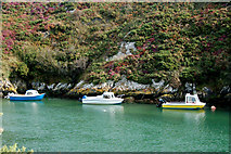 SM7423 : A trio moored in Porthclais harbour by Andy F