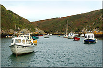 SM7423 : Looking north (inland) at Porthclais harbour by Andy F