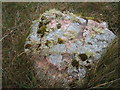 Lichen on stone