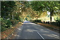 Autumn colour in Hen & Chick lane